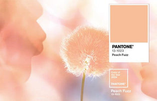  Velvety Orange-Pink 'Peach Fuzz' Named Pantone's 2024 Color of the Year - Diamond Designs