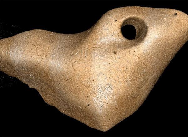 Giant Sloth Bone Jewelry Helps Rewrite History of the 'Peopling' of the Americas - Diamond Designs