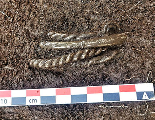  Four Viking-Age Silver Bracelets Unearthed on Mountainside Farm in Norway