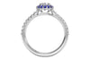 Ritani White 14 Karat Gold Diamond Engagement Ring Mounting Size 6.5 *