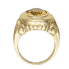 Oval Color Rings in Gold