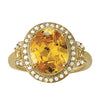 Oval Shaped Color Rings in Gold