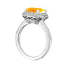 Princess & Cushion Gemstone Fashion Ring in Gold (3.81 cttw)