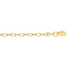 14k Yellow Gold Oval Rolo Chain (4.6 mm)