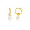 14k Yellow Gold Small Hoop Earrings with Pearls
