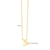 14K Yellow Gold Capricorn Necklace