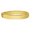 14K Yellow Gold Classic Polished Bangle (10.00 mm), view 2