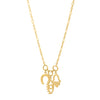 Drop Necklace with Lucky Charms in 14K Yellow Gold