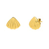 Sea Shell Stud Earrings in 10K Yellow Gold