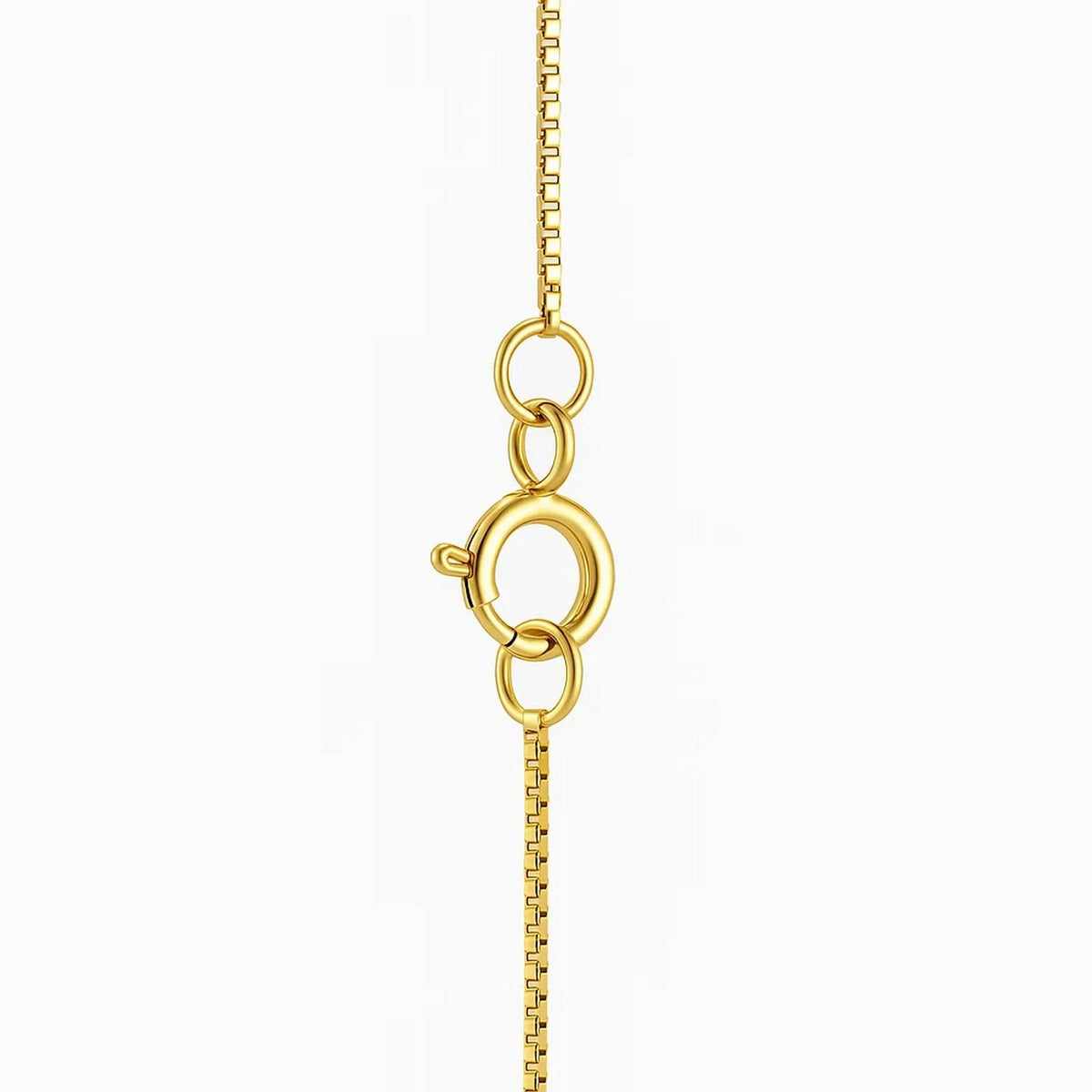 Sea Shell Necklace in 10K Yellow Gold, view 3