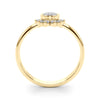 Fashion Ring Rounds in Gold (0.38 cttw)