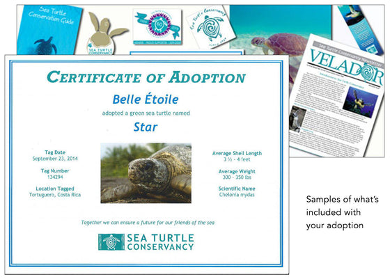 Sea Turtle Adoption