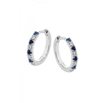 Colored Stone Earring
