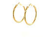 14k Yellow Gold Polished Hoop Earrings (25 mm)
