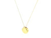 14k Yellow Gold Necklace with Dog Paw Print Symbol in Mother of Pearl