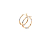 10k Tri-Color Gold Classic Hoop Earrings with Diamond Cut Details