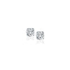 14k White Gold Diamond Four Prong Stud Earrings (1/4 cttw) - Diamond Designs