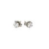 14k White Gold Diamond Four Prong Stud Earrings (1/4 cttw) - Diamond Designs