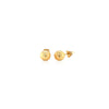 14k Yellow Gold Round Stud Earrings (6.0 mm)